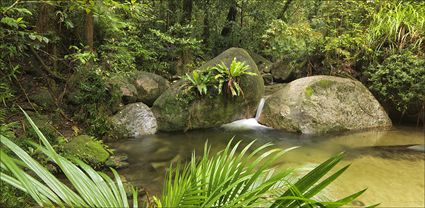 Wurrmbu Creek - Mossman Gorge - QLD T (PBH4 00 17007)